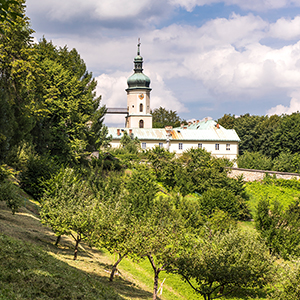 Dom Pielgrzyma